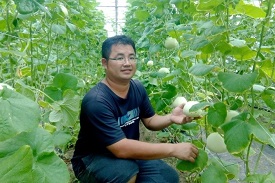 青農楊景翔種植的美濃瓜，預計雙十佳節前採收，成為最棒伴手禮