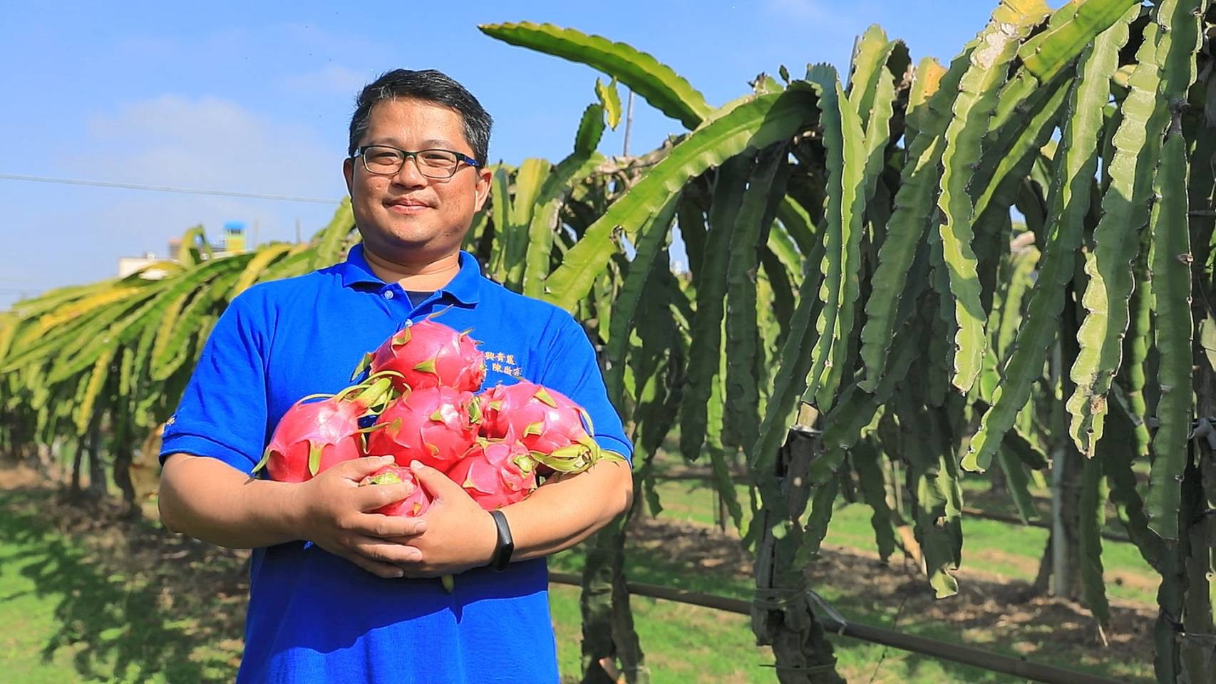 陳啟宗的火龍果堅持以品質進行市場區隔，榮獲第四屆百大青農殊榮
