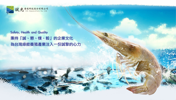 公司形象圖片