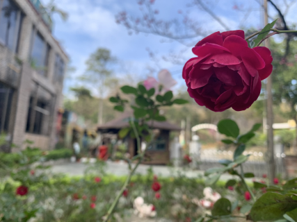 公司形象圖片